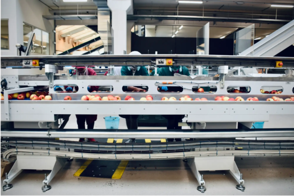 industria alimentaria - AERORENTAL