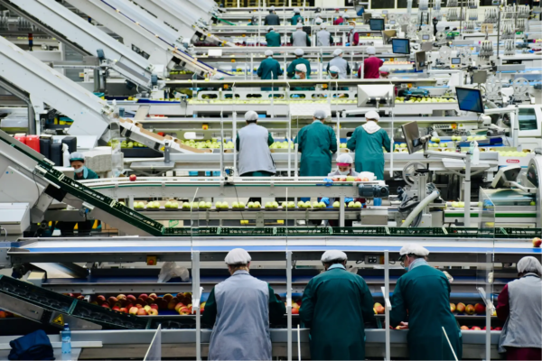 industria de alimentos - AERORENTAL